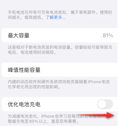 梅里斯达斡尔族苹果15维修分享iPhone15充电到80%就充不进电了怎么办 