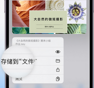 梅里斯达斡尔族apple维修中心分享iPhone文件应用中存储和找到下载文件