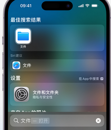 梅里斯达斡尔族apple维修中心分享iPhone文件应用中存储和找到下载文件