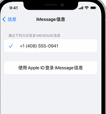 梅里斯达斡尔族apple维修iPhone上无法正常发送iMessage信息