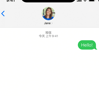 梅里斯达斡尔族apple维修iPhone上无法正常发送iMessage信息