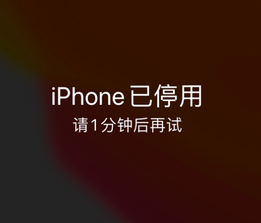 梅里斯达斡尔族苹果手机维修分享:iPhone 显示“不可用”或“已停用”怎么办？还能保留数据吗？ 