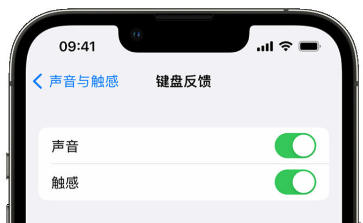 梅里斯达斡尔族苹果手机维修分享iPhone 14触感键盘使用方法 