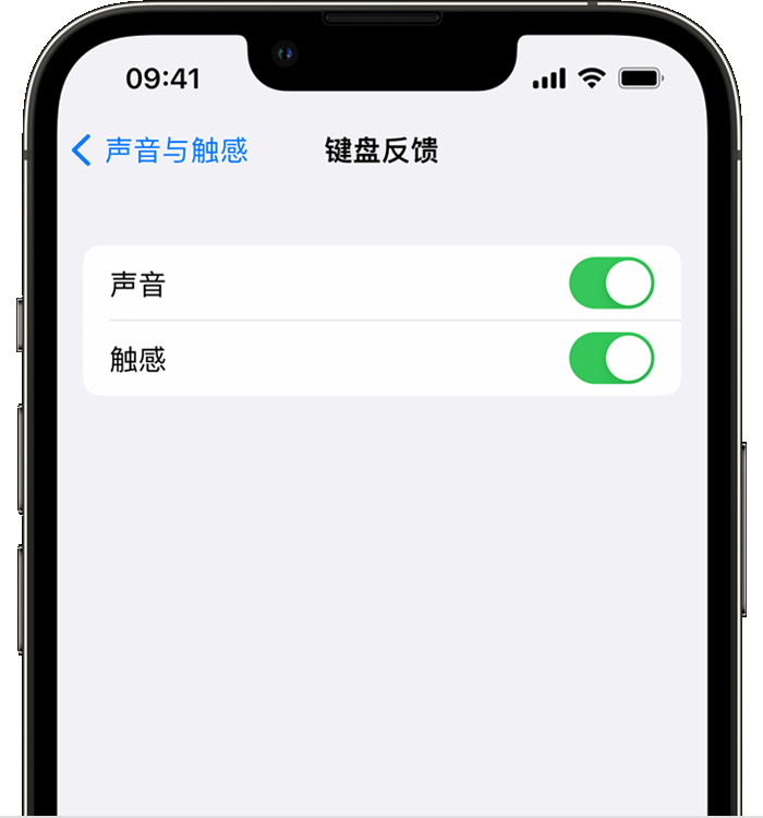 梅里斯达斡尔族苹果14维修店分享如何在 iPhone 14 机型中使用触感键盘 