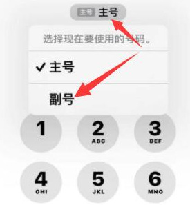 梅里斯达斡尔族苹果14维修店分享iPhone 14 Pro Max使用副卡打电话的方法 