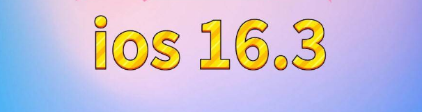 梅里斯达斡尔族苹果服务网点分享苹果iOS16.3升级反馈汇总 