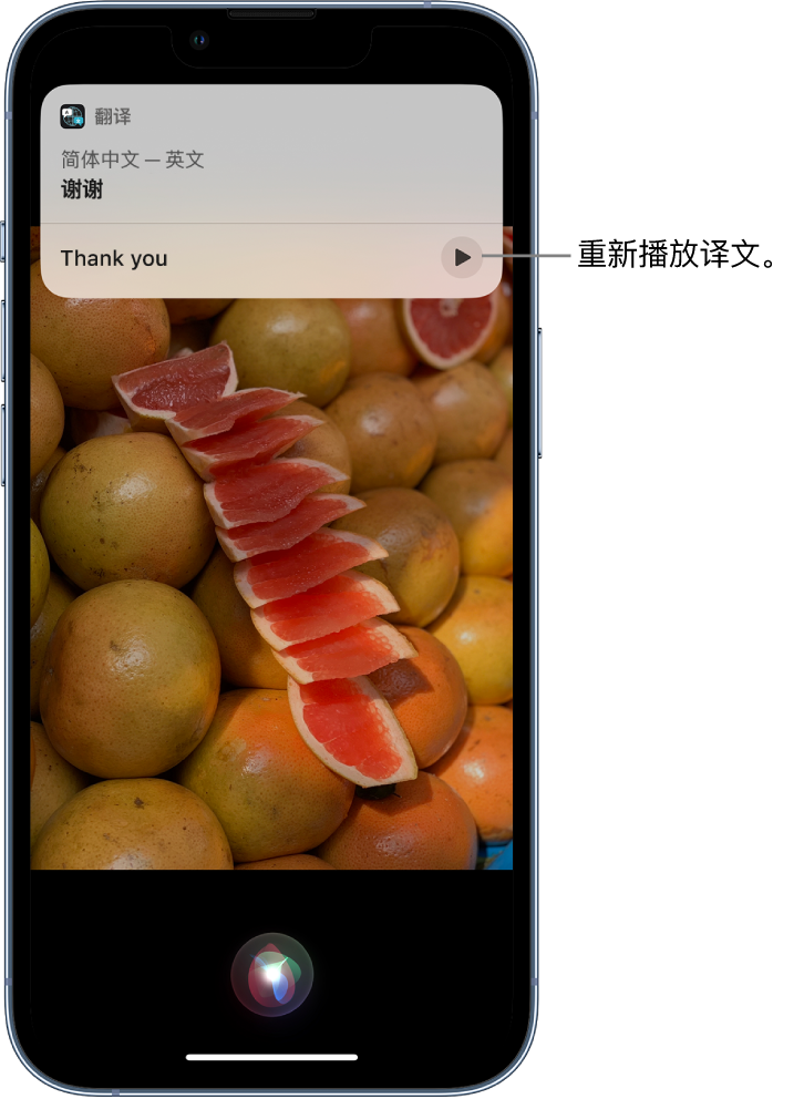 梅里斯达斡尔族苹果14维修分享 iPhone 14 机型中使用 Siri：了解 Siri 能帮你做什么 