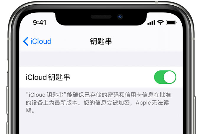 梅里斯达斡尔族苹果手机维修分享在 iPhone 上开启 iCloud 钥匙串之后会储存哪些信息 