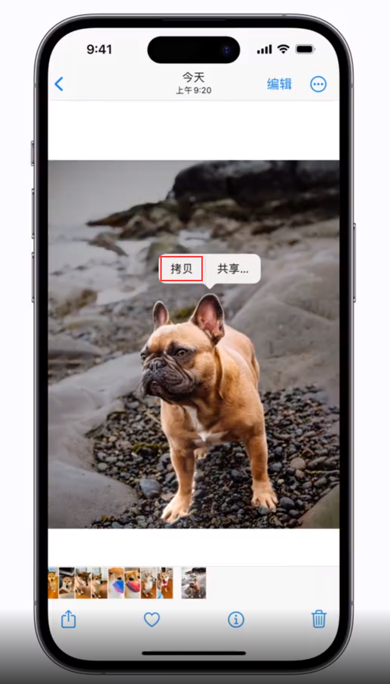梅里斯达斡尔族苹果手机维修分享 iOS 16 自带一键抠图功能 