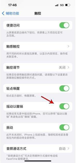 梅里斯达斡尔族苹果手机维修分享iPhone手机如何设置摇一摇删除文字 