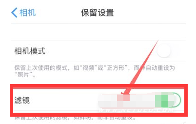 梅里斯达斡尔族苹果13维修分享iPhone13拍照有绿点是怎么回事 