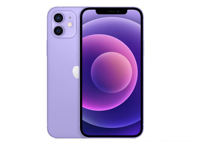 梅里斯达斡尔族苹果手机维修分享现阶段要不要入手紫色版iPhone12 