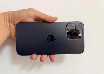 梅里斯达斡尔族苹果维修点分享iPhone 14 Pro Max黑屏少见故障盘点 